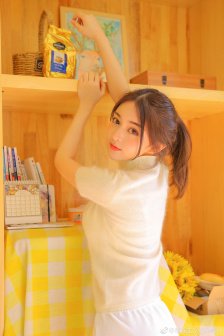 老虎队电视剧